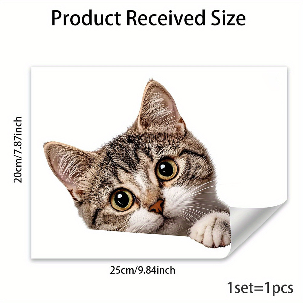 แมวตลกแอบมองหน้าต่างสติ๊กเกอร์ - Home Bathroom Window บทวิจารณ์และราคา